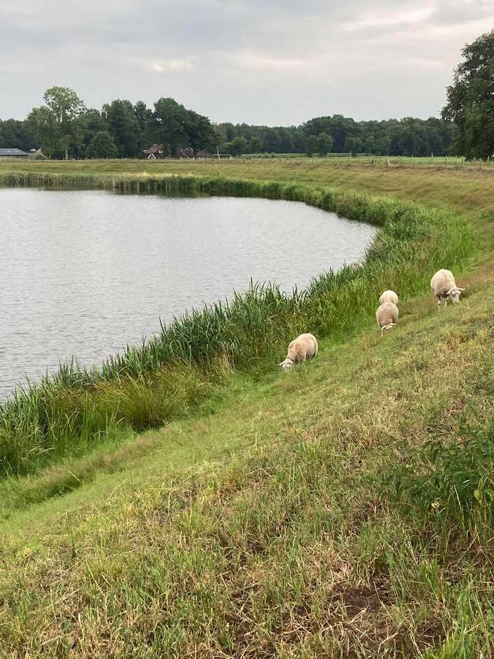 Zomaar een donderdag vol goede moed